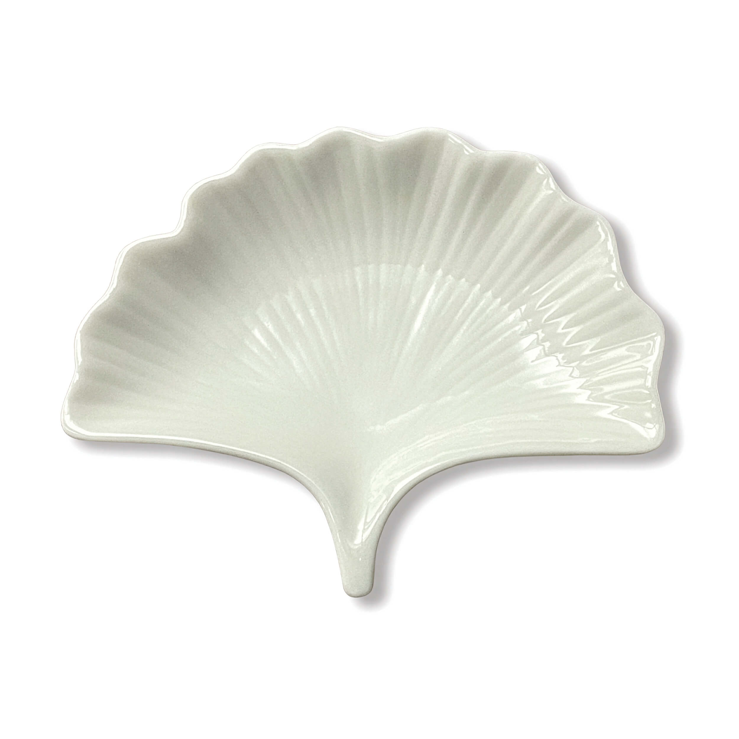 White ceramic shell-shaped dish on a white background