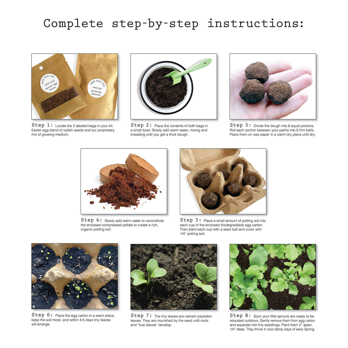 seed ball planting instructions Seed Ball Kit