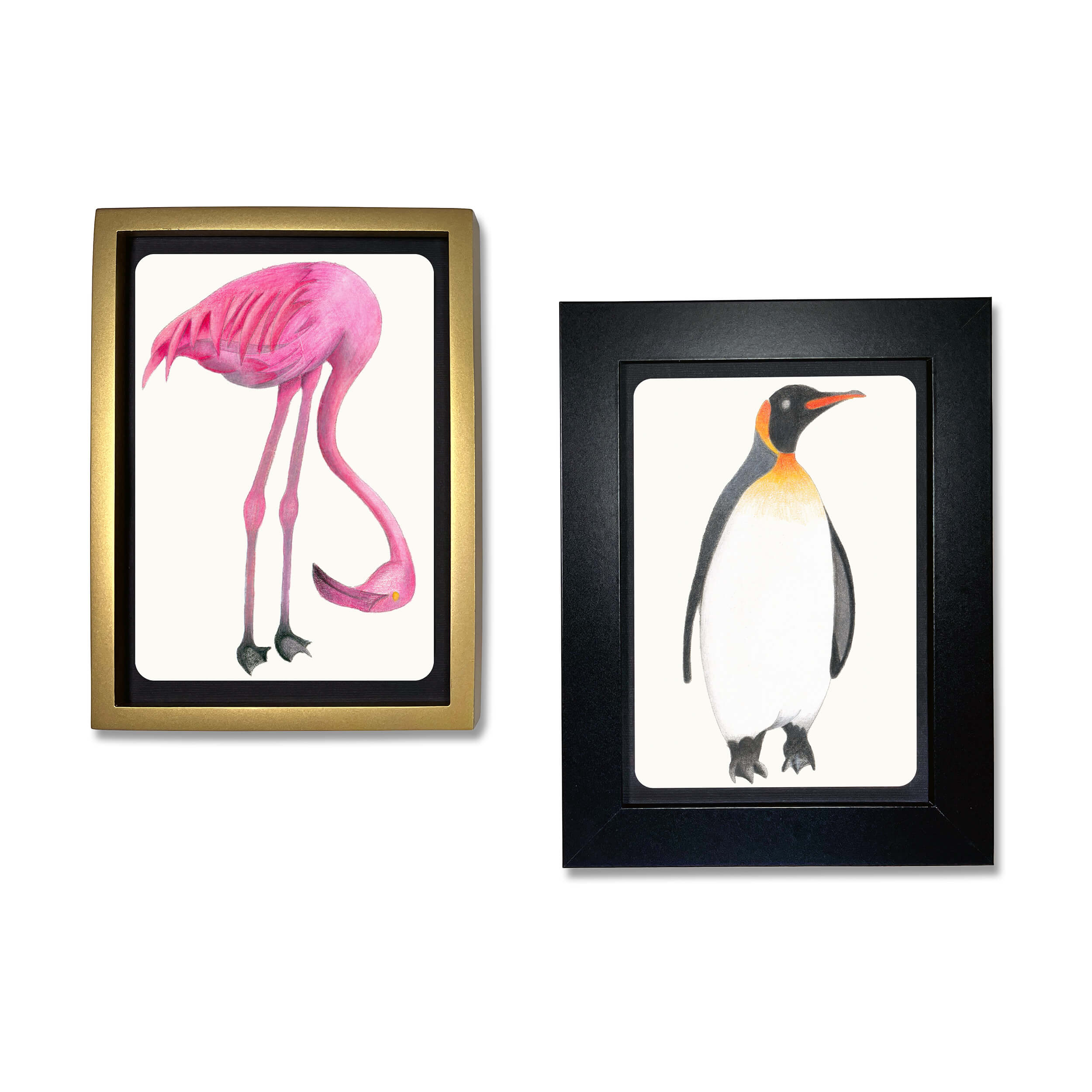 Elseware Unplug coloring postcard illustrations of a pink flamingo and a penguin, displayed in decorative frames.