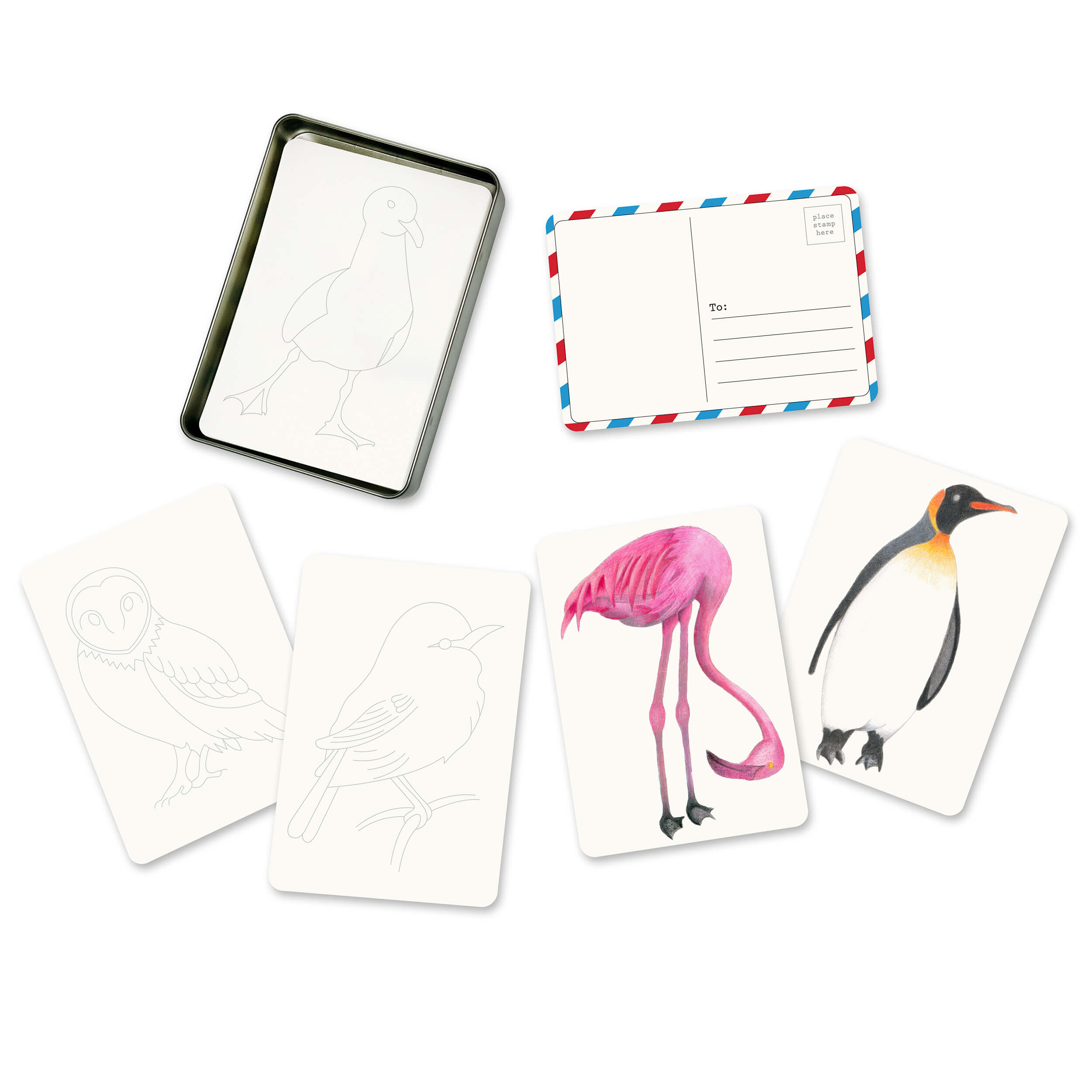 Set of cards with animal illustrations on a white background
