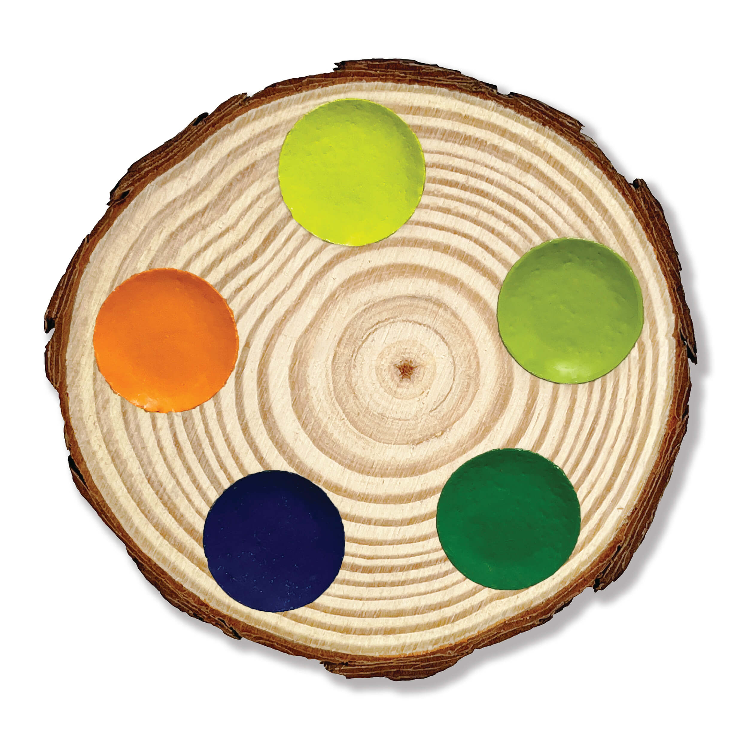 Pine Watercolor Palettes with Rustic Bark, Set of 4