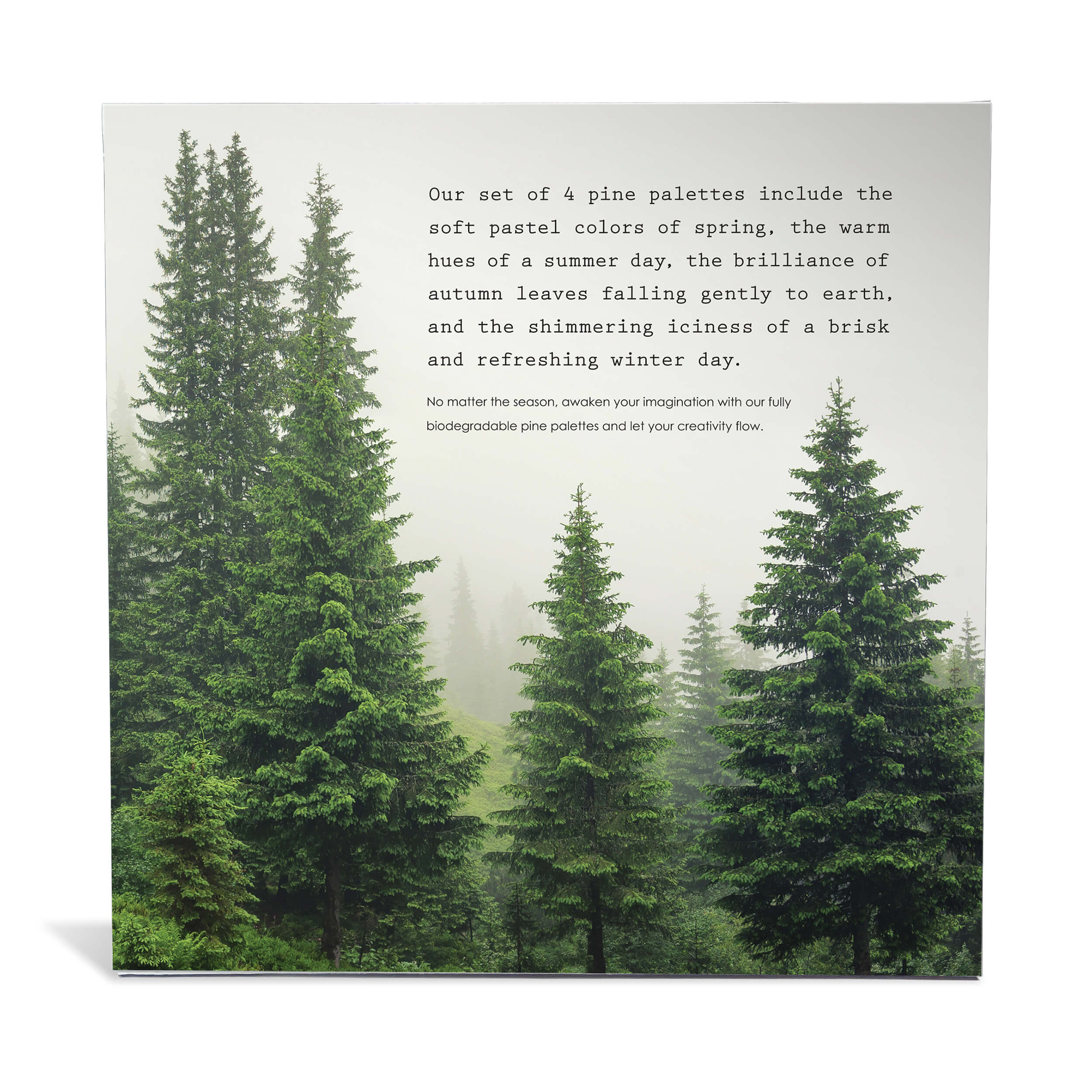 Pine Watercolor Palettes with Rustic Bark, Set of 4