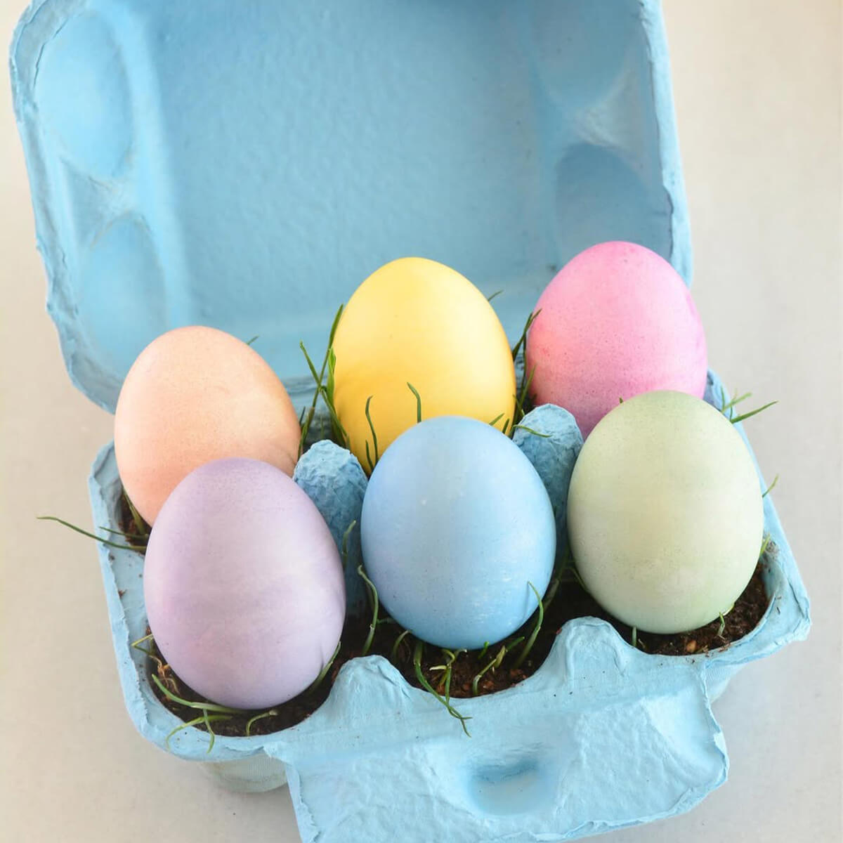 Egg Coloring & Seed Growing Kit